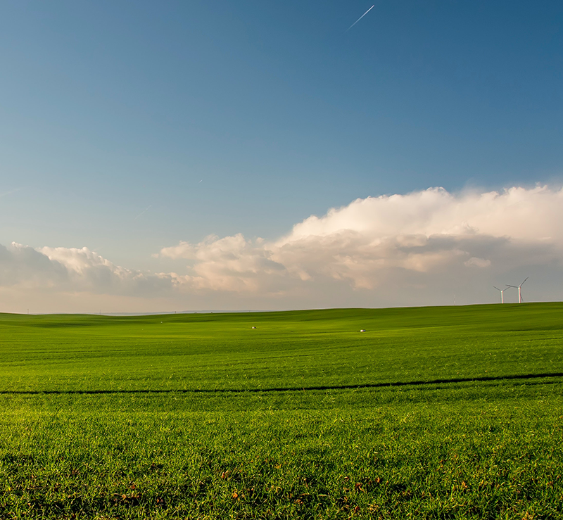 Land